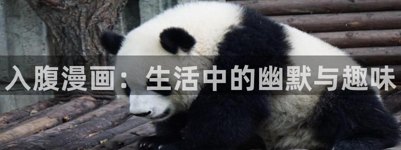 韩国歪歪漫画app